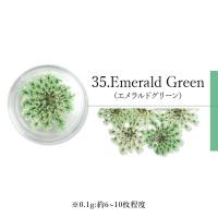 SMint エスミント レースフラワー 0.1g 35.エメラルドグリーン