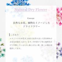 SMint エスミント レースフラワー 0.1g 35.エメラルドグリーン