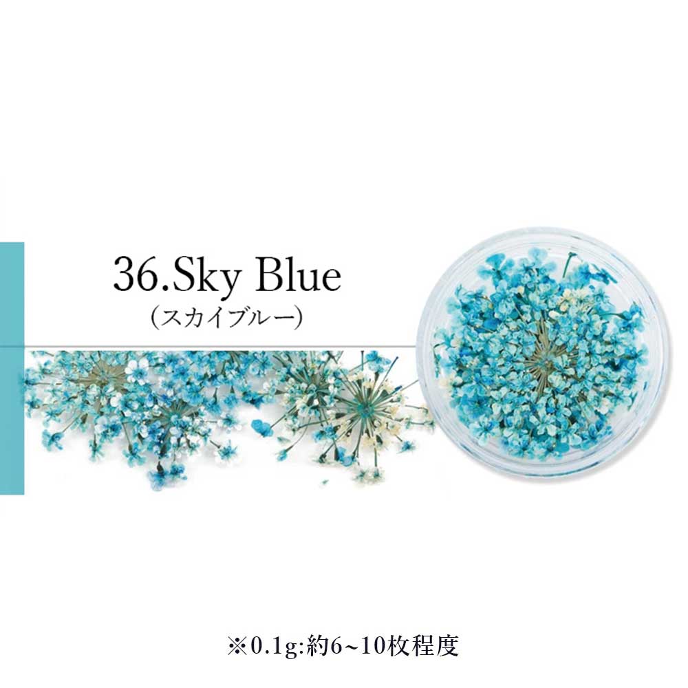 SMint エスミント レースフラワー 0.1g 36.スカイブルー