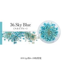 SMint エスミント レースフラワー 0.1g 36.スカイブルー