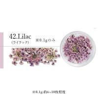 SMint エスミント レースフラワー 0.1g 42.ライラック
