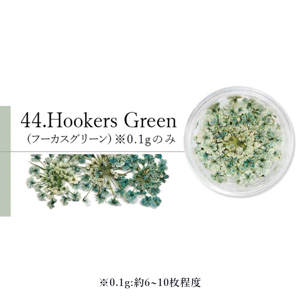 SMint エスミント レースフラワー 0.1g 44.フッカーズグリーン