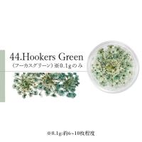 SMint エスミント レースフラワー 0.1g 44.フッカーズグリーン