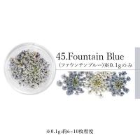 SMint エスミント レースフラワー 0.1g 45.ファウンテンブルー