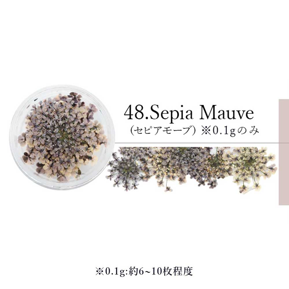 SMint エスミント レースフラワー 0.1g 48.セピアモーブ