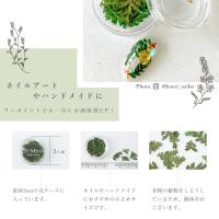 SMint エスミント リーフ 約0.15g LE-8