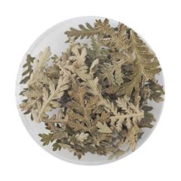SMint エスミント リーフ 約0.15g LE-9