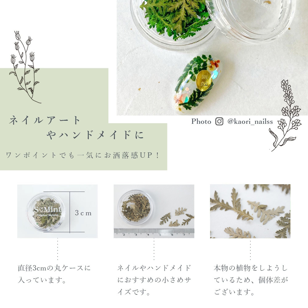 SMint エスミント リーフ 約0.15g LE-9