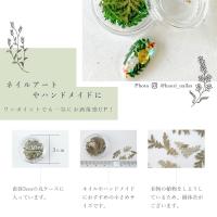 SMint エスミント リーフ 約0.15g LE-9