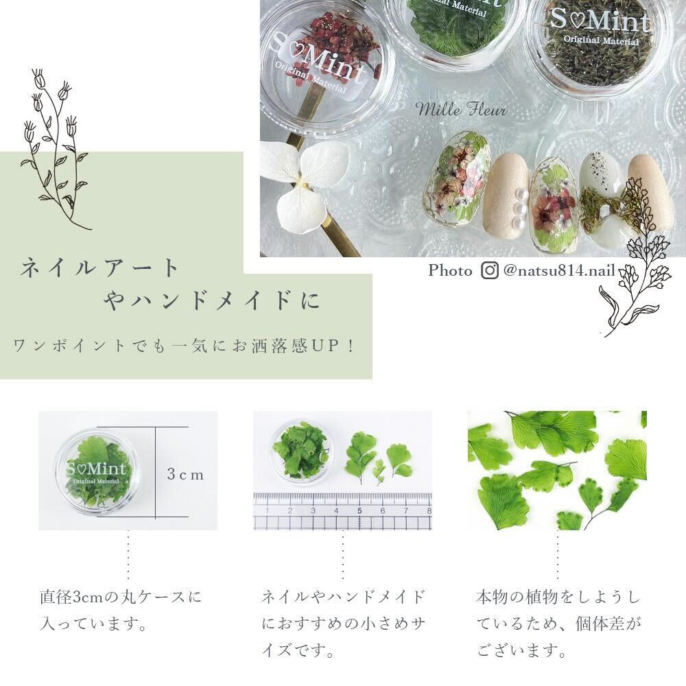 SMint エスミント リーフ 約0.05g LE-10