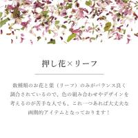 SMint エスミント ミックス フラワー フラット シリーズ5 MFF5-2