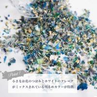 SMint エスミント ミックス フラワー フラット シリーズ6 約0.25g MFF6-5