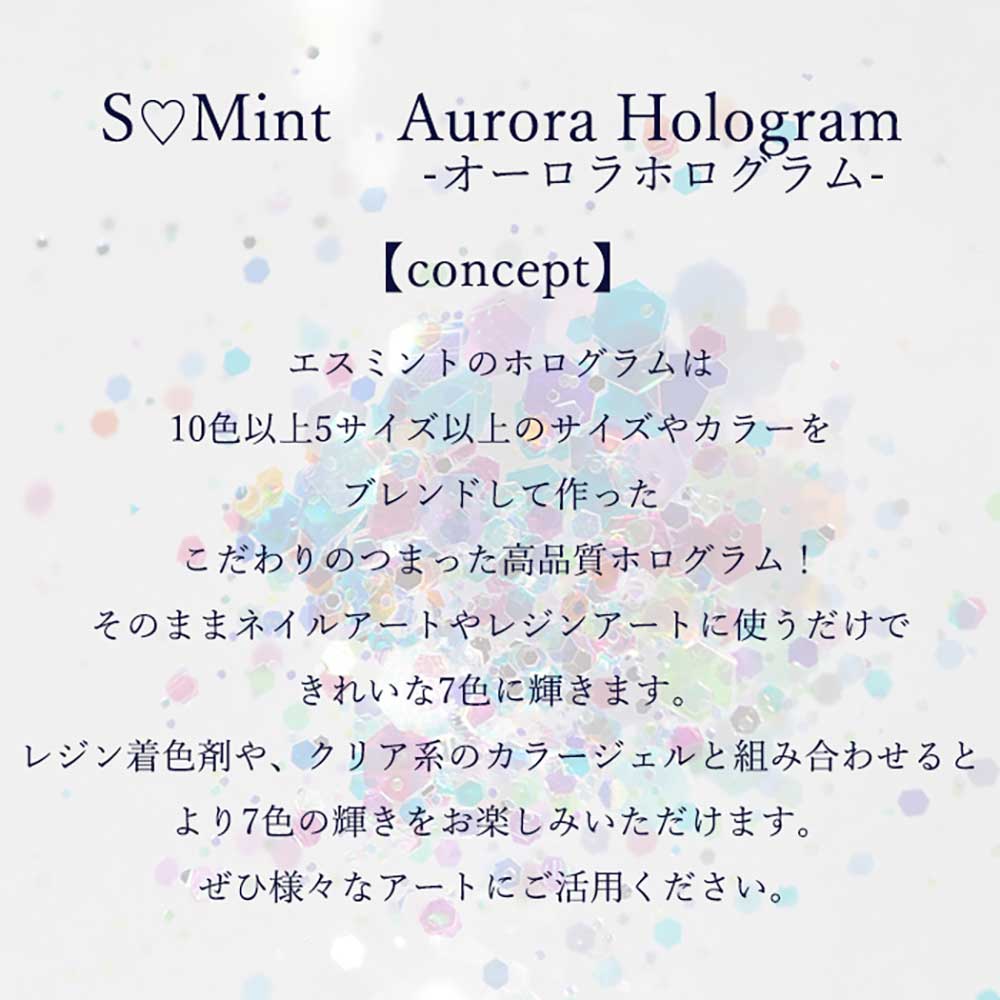 SMint エスミント オーロラ ホログラム 約1g