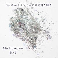 SMint エスミント ミックス ホログラム 約1g H シリーズ H-1