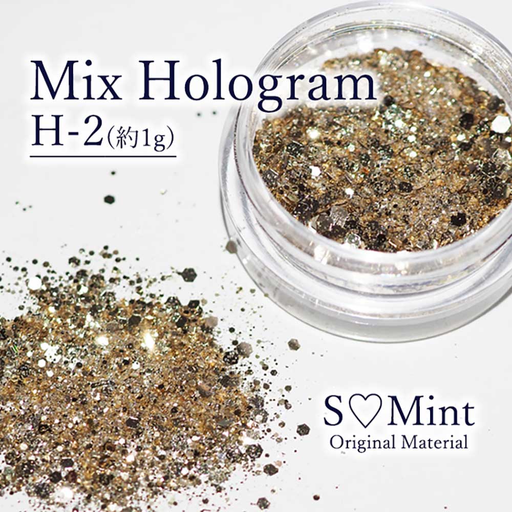 SMint エスミント ミックス ホログラム 約1g H シリーズ H-2