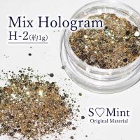 SMint エスミント ミックス ホログラム 約1g H シリーズ H-2