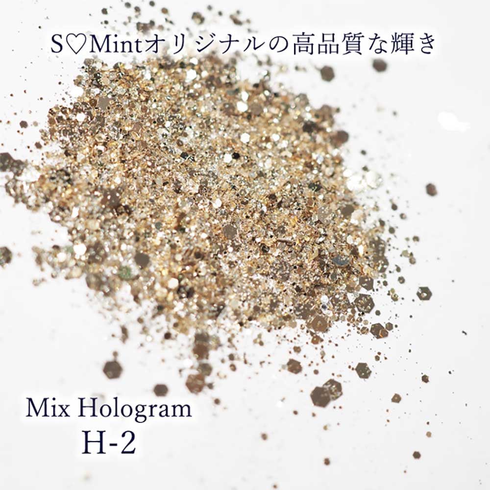 SMint エスミント ミックス ホログラム 約1g H シリーズ H-2