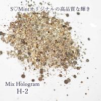 SMint エスミント ミックス ホログラム 約1g H シリーズ H-2