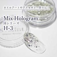 SMint エスミント ミックス ホログラム 約1g H シリーズ H-3