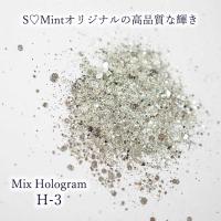 SMint エスミント ミックス ホログラム 約1g H シリーズ H-3