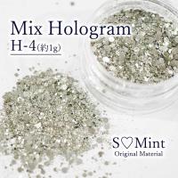 SMint エスミント ミックス ホログラム 約1g H シリーズ H-4