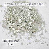SMint エスミント ミックス ホログラム 約1g H シリーズ H-4