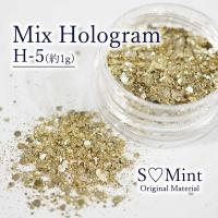 SMint エスミント ミックス ホログラム 約1g H シリーズ H-5