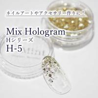 SMint エスミント ミックス ホログラム 約1g H シリーズ H-5