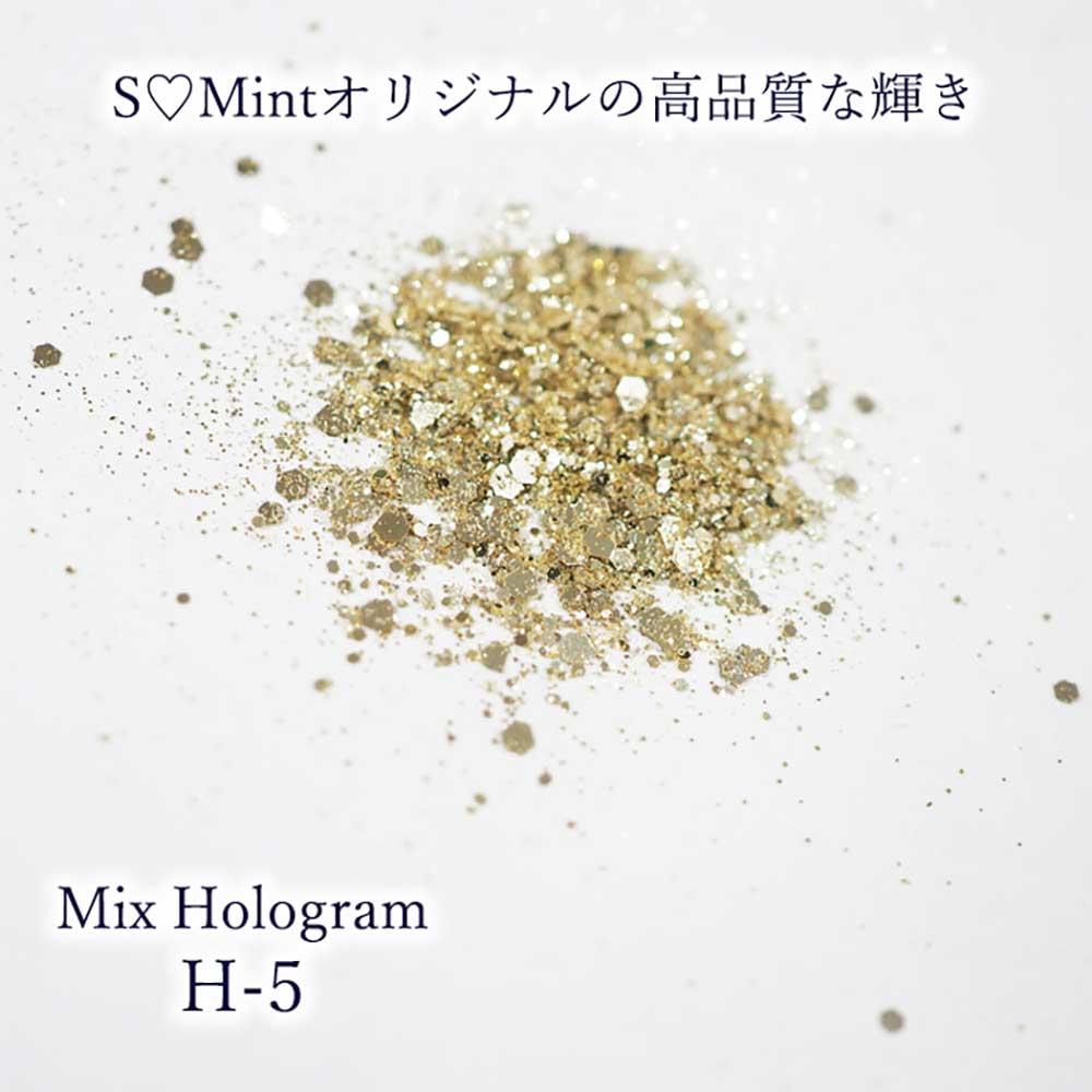 SMint エスミント ミックス ホログラム 約1g H シリーズ H-5