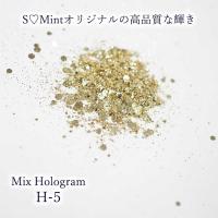 SMint エスミント ミックス ホログラム 約1g H シリーズ H-5