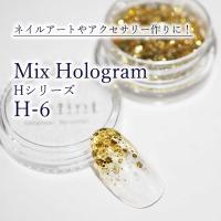 SMint エスミント ミックス ホログラム 約1g H シリーズ H-6