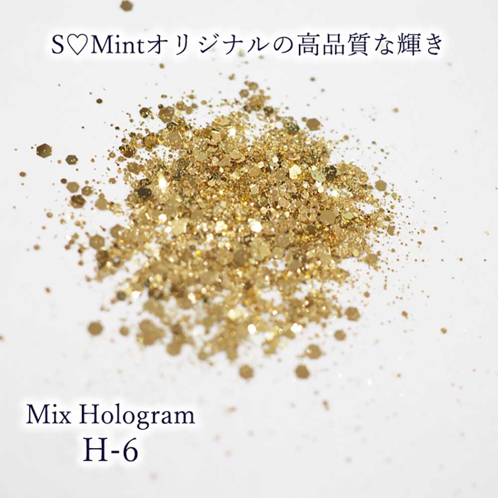 SMint エスミント ミックス ホログラム 約1g H シリーズ H-6
