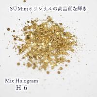 SMint エスミント ミックス ホログラム 約1g H シリーズ H-6