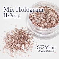 SMint エスミント ミックス ホログラム 約1g H シリーズ H-9