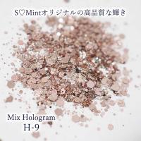 SMint エスミント ミックス ホログラム 約1g H シリーズ H-9