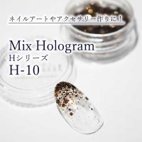SMint エスミント ミックス ホログラム 約1g H シリーズ H-10