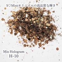 SMint エスミント ミックス ホログラム 約1g H シリーズ H-10