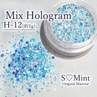 SMint エスミント ミックス ホログラム 約1g H シリーズ H-12
