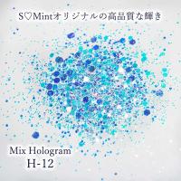 SMint エスミント ミックス ホログラム 約1g H シリーズ H-12