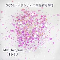 SMint エスミント ミックス ホログラム 約1g H シリーズ H-13