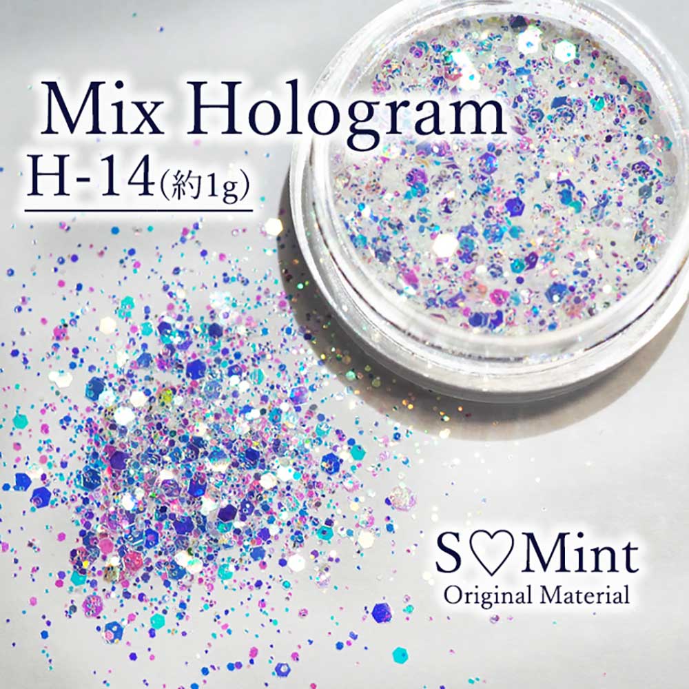 SMint エスミント ミックス ホログラム 約1g H シリーズ H-14