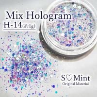 SMint エスミント ミックス ホログラム 約1g H シリーズ H-14