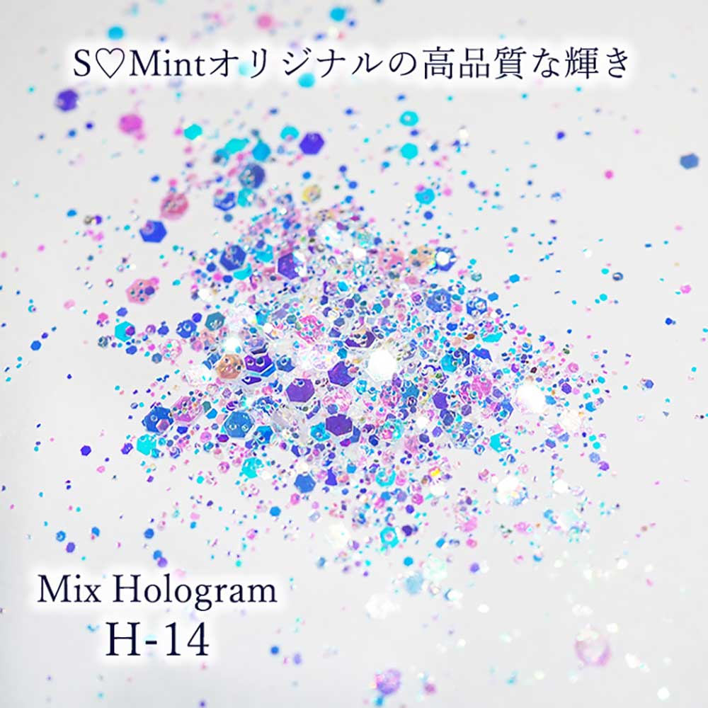 SMint エスミント ミックス ホログラム 約1g H シリーズ H-14