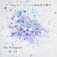 SMint エスミント ミックス ホログラム 約1g H シリーズ H-14
