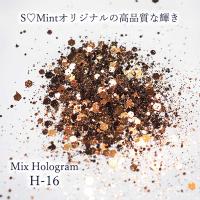 SMint エスミント ミックス ホログラム 約1g H シリーズ H-16