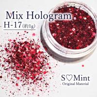 SMint エスミント ミックス ホログラム 約1g H シリーズ H-17