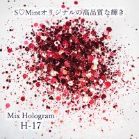SMint エスミント ミックス ホログラム 約1g H シリーズ H-17