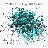 SMint エスミント ミックス ホログラム 約1g H シリーズ H-18