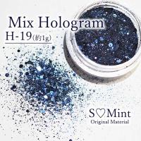 SMint エスミント ミックス ホログラム 約1g H シリーズ H-19