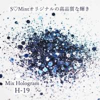 SMint エスミント ミックス ホログラム 約1g H シリーズ H-19